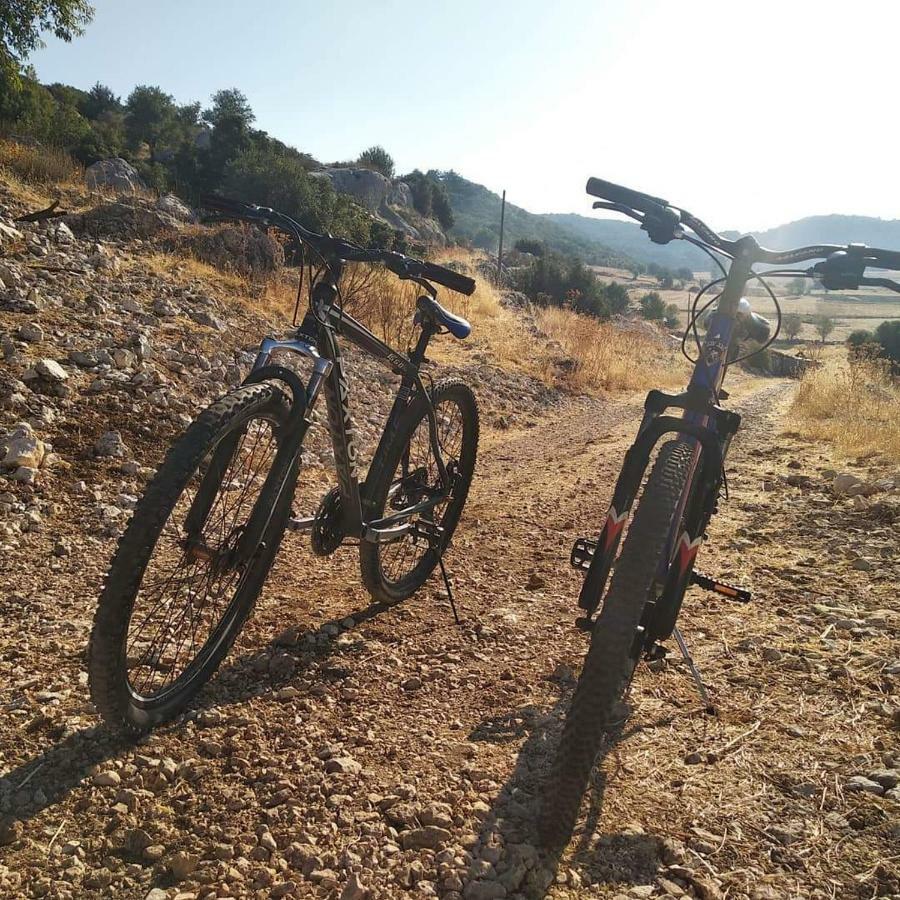 Likya Sup Apart Kaş Luaran gambar